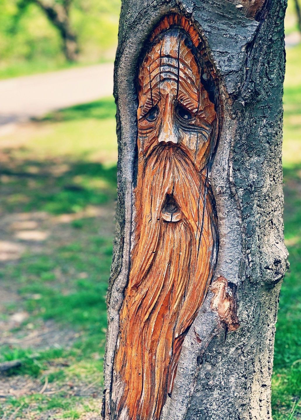 a tree with a face carved into it